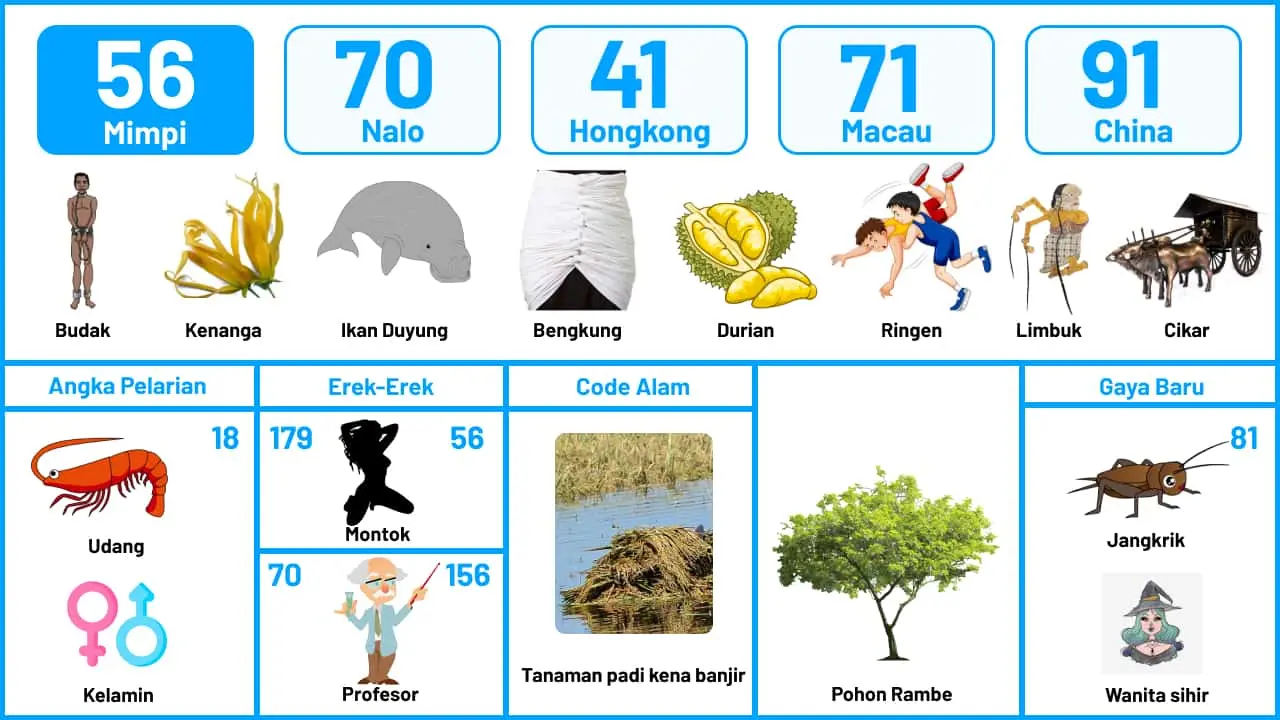 buku mimpi erek erek togel 56